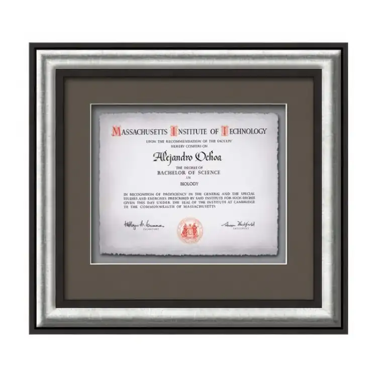 Waterleaf Grazia Multicolor Framed Certificate #5