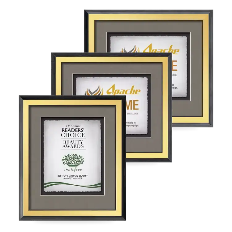 Waterleaf Jasper Multicolor Framed Certificate
