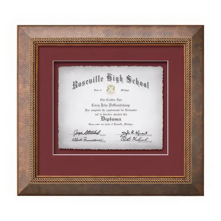Waterleaf Lazio Multicolor Framed Certificate #4