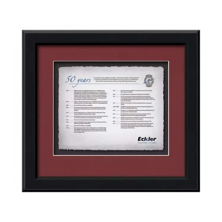 Waterleaf Myriad Multicolor Framed Certificate #3