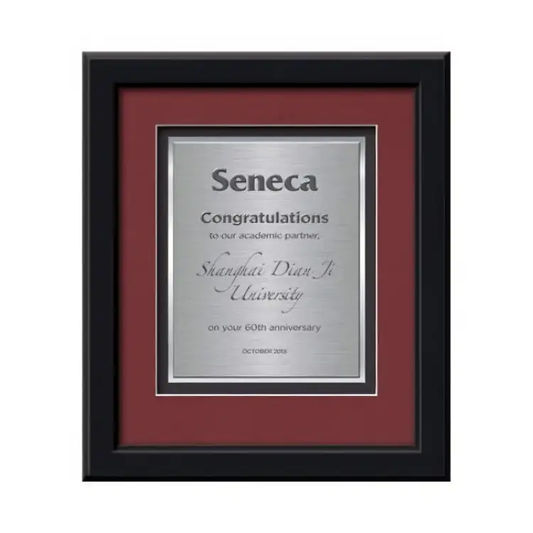 Waterleaf Myriad TexEtch Framed Certificate #2