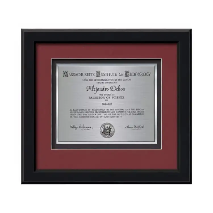 Waterleaf Myriad TexEtch Framed Certificate #4