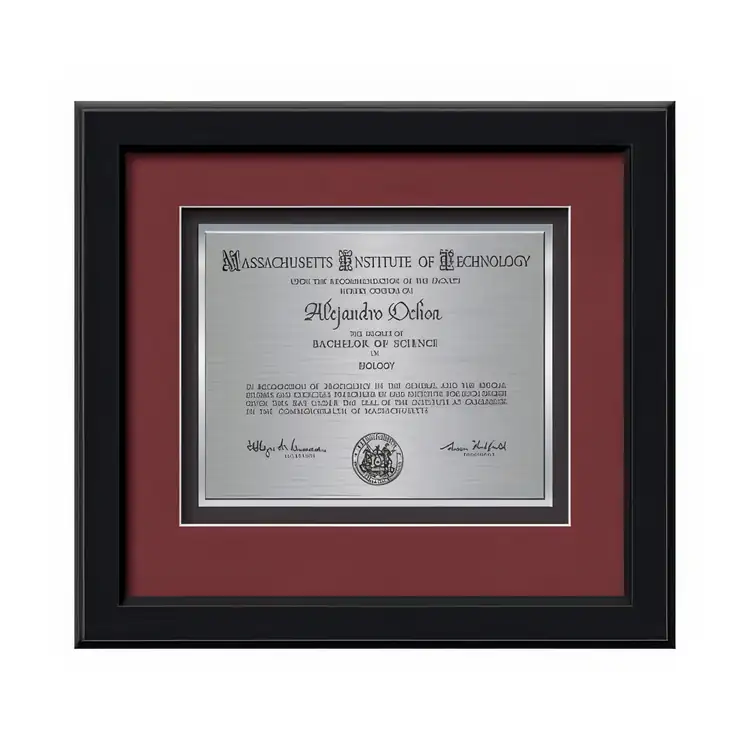 Waterleaf Myriad TexEtch Framed Certificate #5