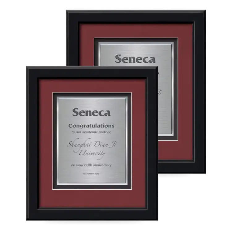 Waterleaf Myriad TexEtch Framed Certificate