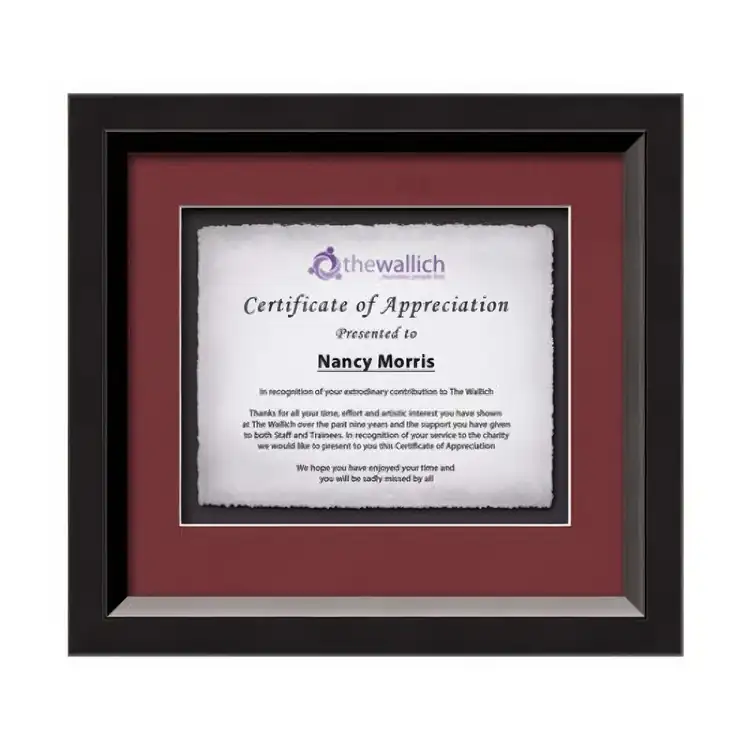 Waterleaf Omni Multicolor Framed Certificate #3