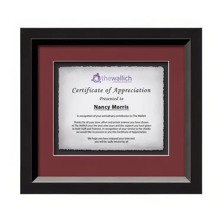 Waterleaf Omni Multicolor Framed Certificate #4