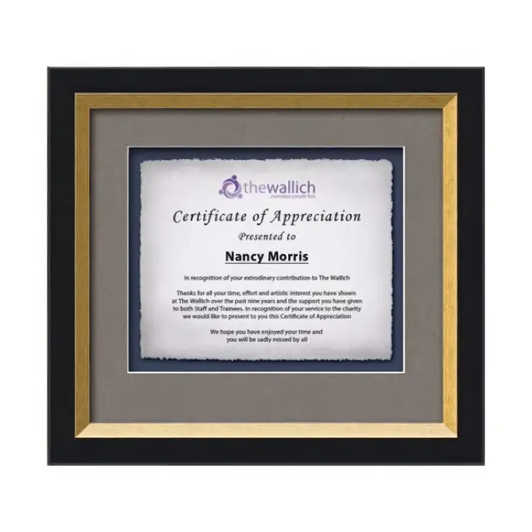 Waterleaf Omni Multicolor Framed Certificate #6