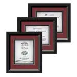 Certificat encadré Waterleaf Omni Multicolore