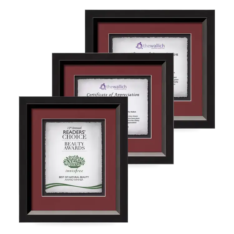 Waterleaf Omni Multicolor Framed Certificate