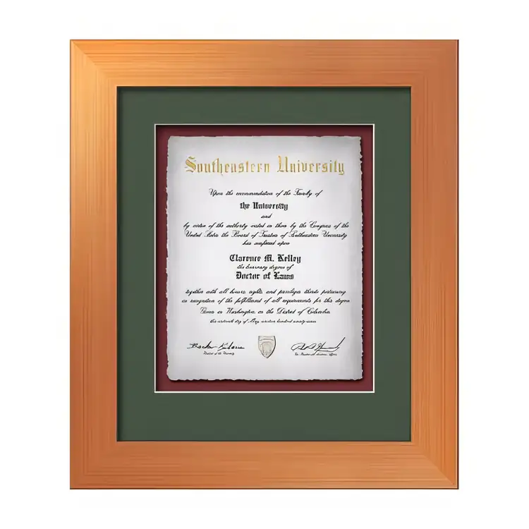 Certificat encadré Waterleaf Premier Multicolore #7
