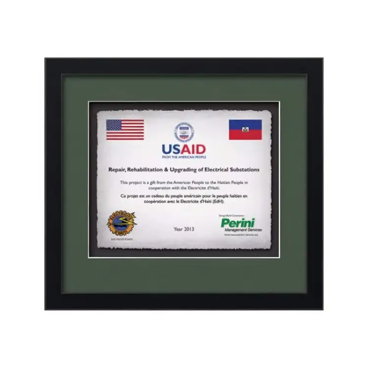 Certificat encadré Waterleaf Primrose Multicolore #3