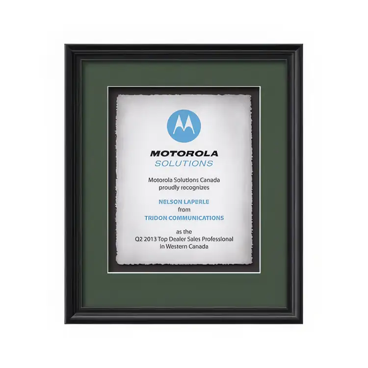 Waterleaf Raven Multicolor Framed Certificate #2