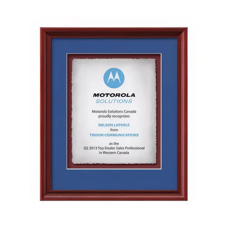 Waterleaf Raven Multicolor Framed Certificate #5