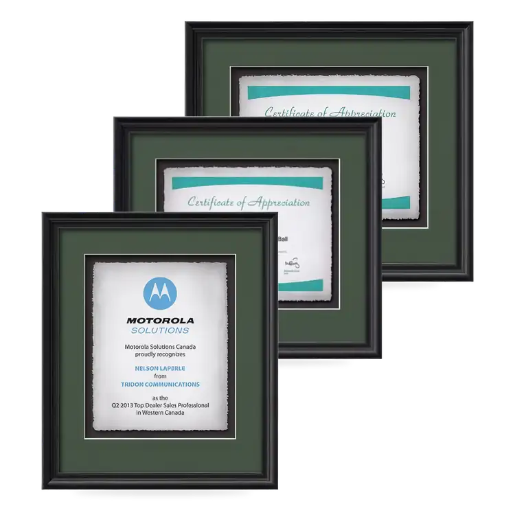 Waterleaf Raven Multicolor Framed Certificate