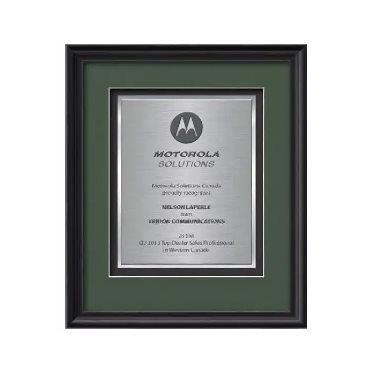 Certificat encadré Waterleaf Raven TexEtch #2