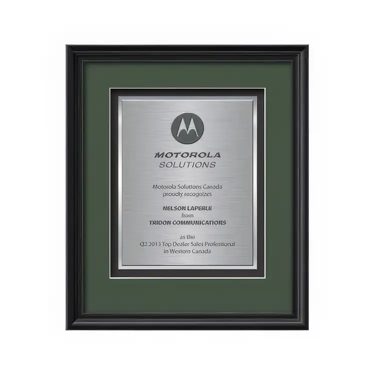 Certificat encadré Waterleaf Raven TexEtch #3