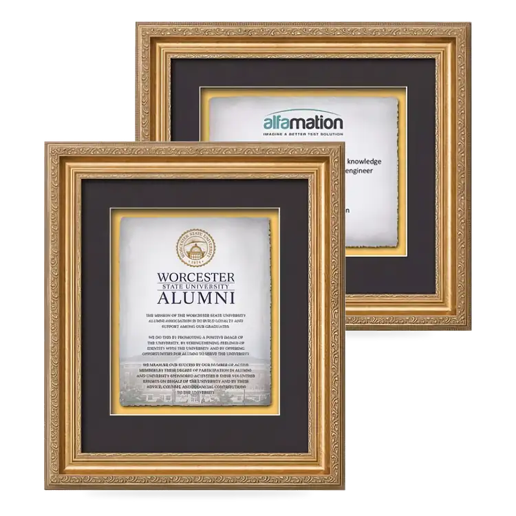 Waterleaf Regal Multicolor Framed Certificate