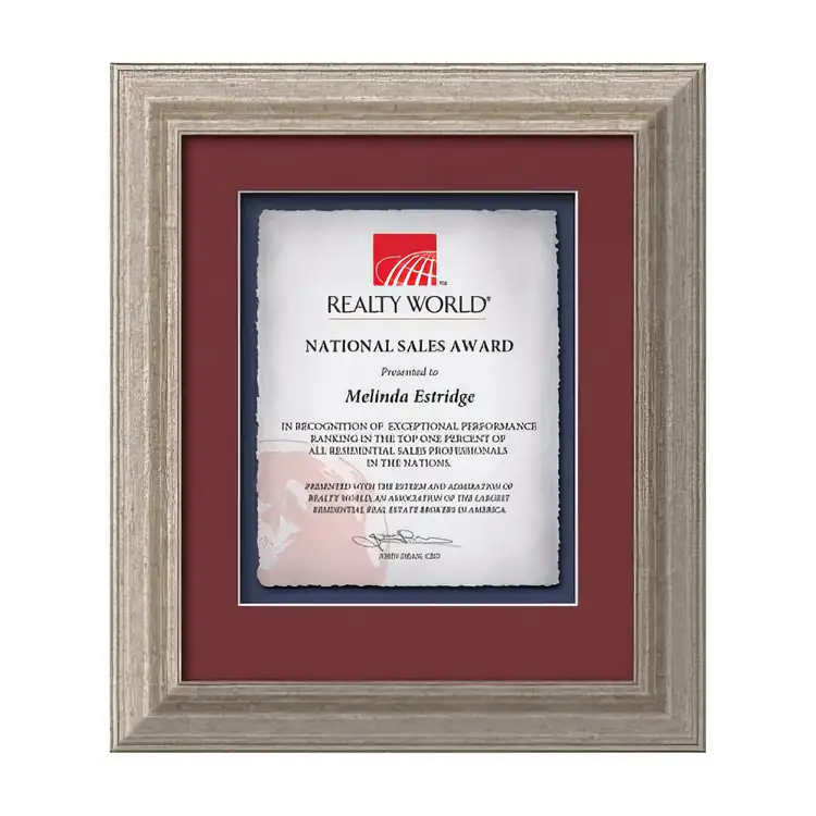 Waterleaf Terrene Multicolor Framed Certificate #5