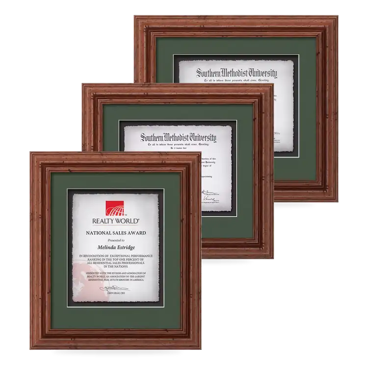 Waterleaf Terrene Multicolor Framed Certificate
