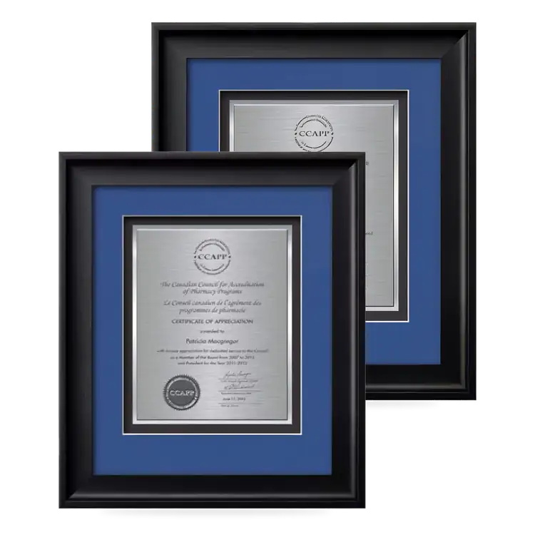Waterleaf Yorktech TexEtch Framed Certificate