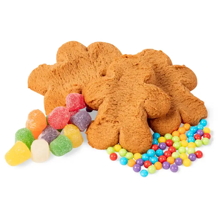 Ginger Buddies Decorating Kit #4