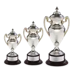 Coupe de récompense argentée