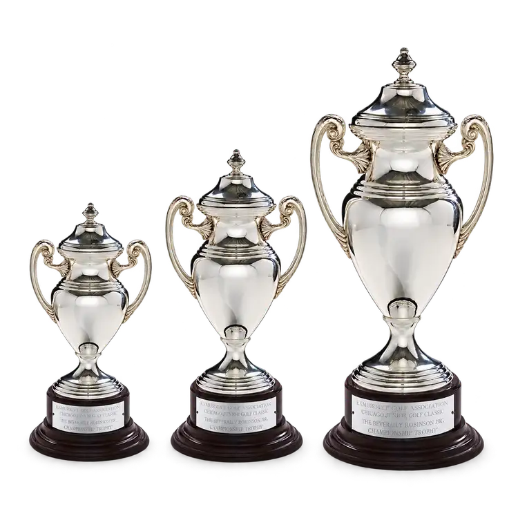 Silver Cup Award