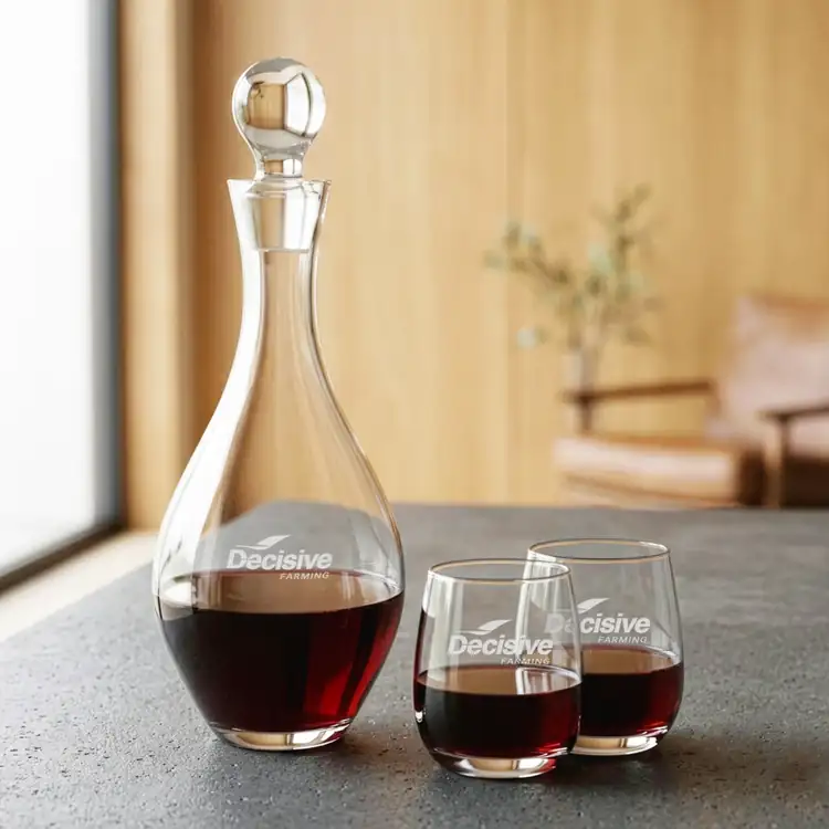 Briarwood Wine Decanter 33 oz and 4 Salem Stemless Wine Glasses #2