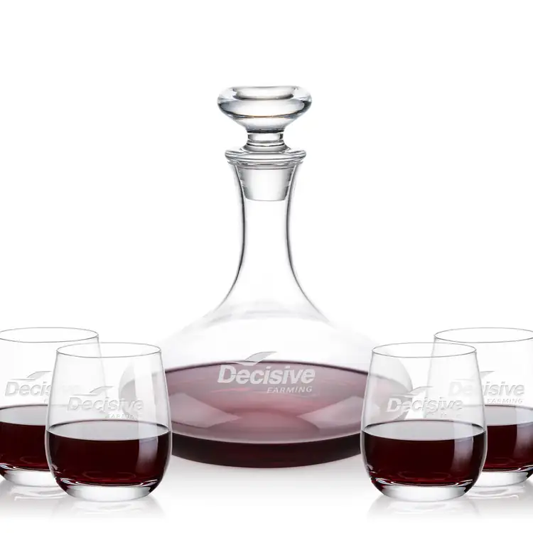 Elliston Wine Decanter 33 oz and 4 Salem Stemless Wine Glasses