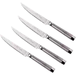 Oneida 4-Piece Stainless Steel Steak Knife Set