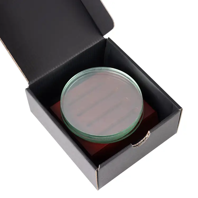 Barnaby Coasters - Set of 4 on Rosewood Base #2
