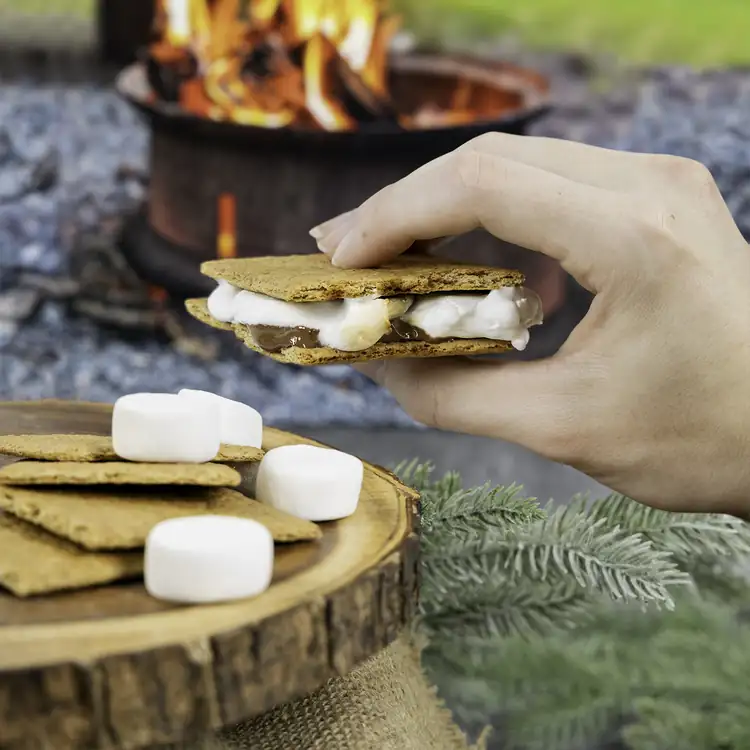 Make Your Own 2 S’mores Gift Bag #5