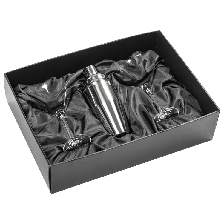 Catania Shaker and 2 Coleford Cocktail Glass Set #2