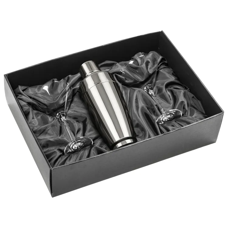 Pescara Shaker and 2 Coleford Cocktail Glass Set #2