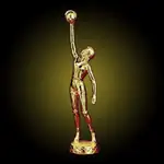 Female Basketball Center Award Figure