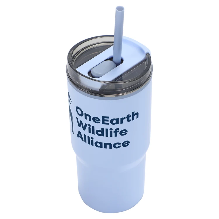 Marli 20 oz 2-in-1 Eco-Friendly Tumbler #2