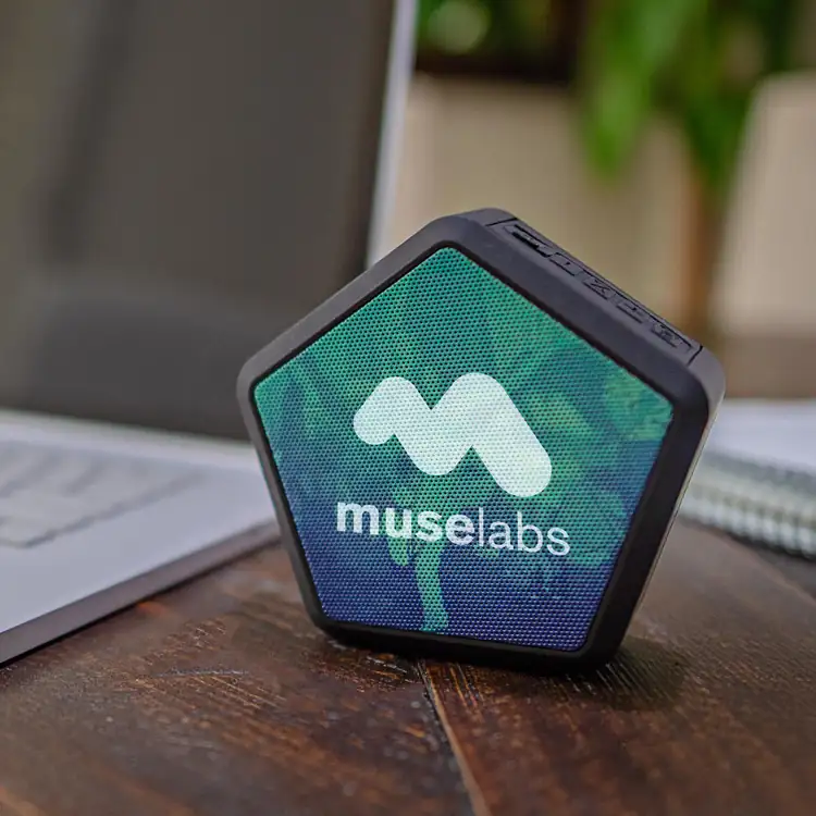 Hive Multi-Unit Wireless Speaker #4