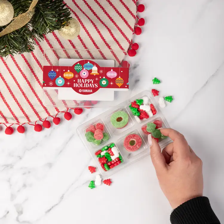 Mini Tackle Box- Holiday #3