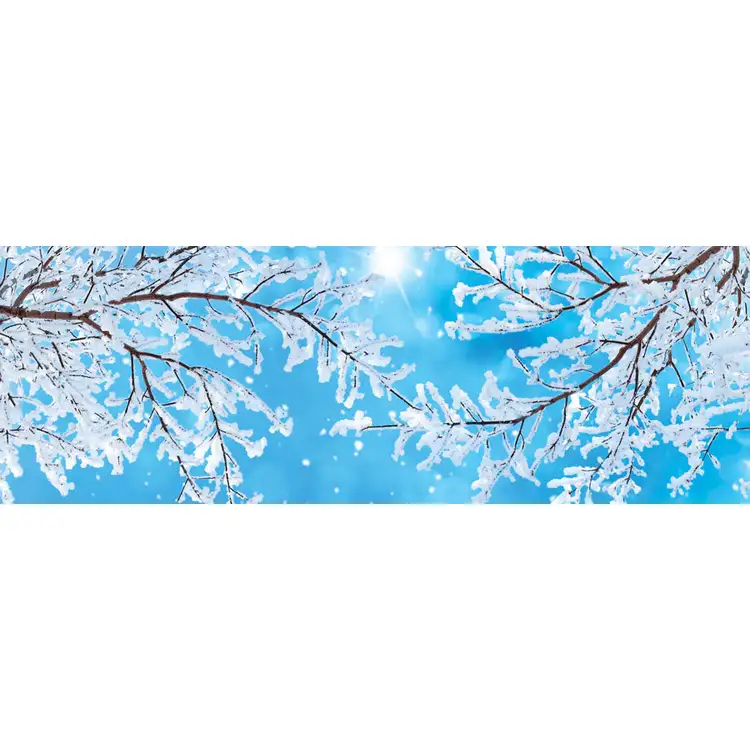 Mini calendrier de bureau Double Vue 2027 #2