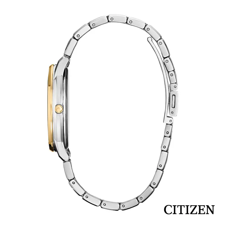 Montre Citizen Eco-Drive Corporate Exclusive bicolore pour homme #3