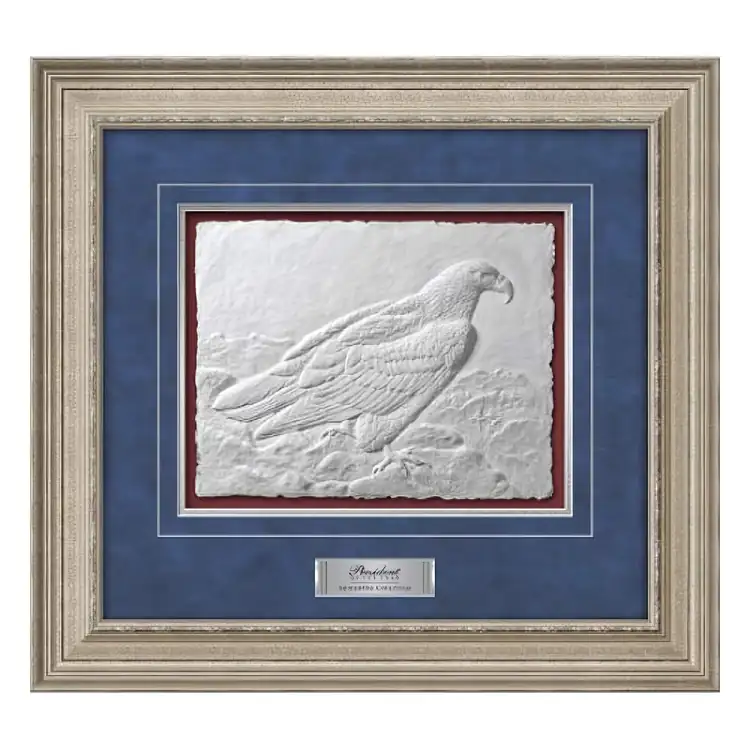 Waterleaf Wings of Valor Framed Artwork