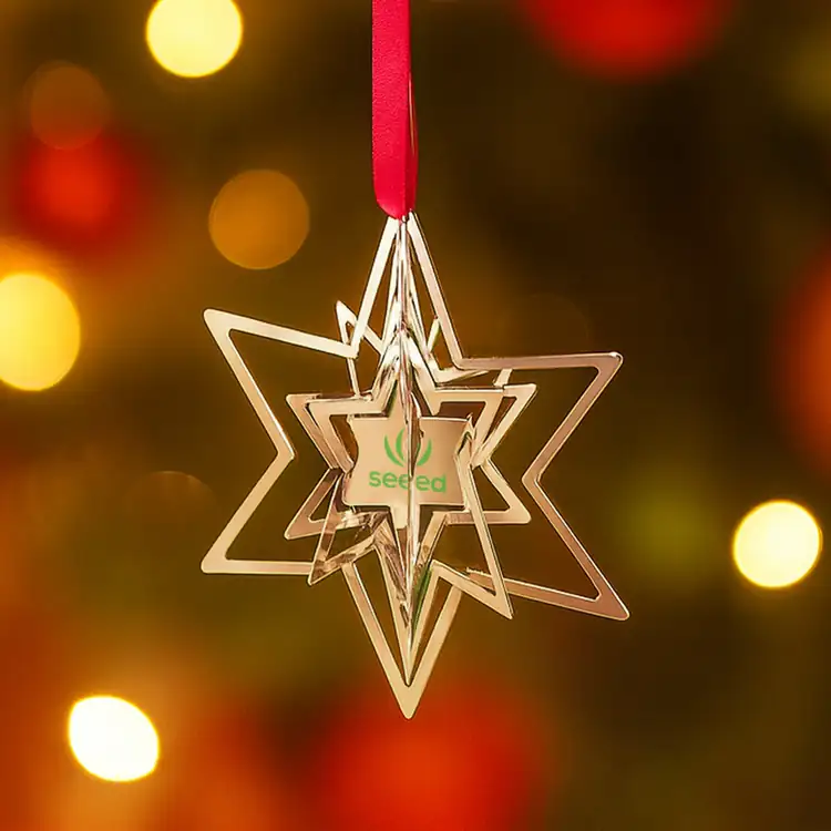 Ornement de Noël étoile 3D Glittering Celebrate #2