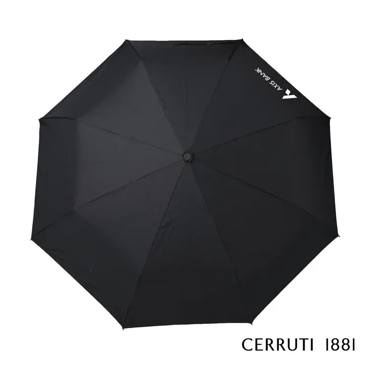 Parapluie Cerruti 1881 Hamilton
