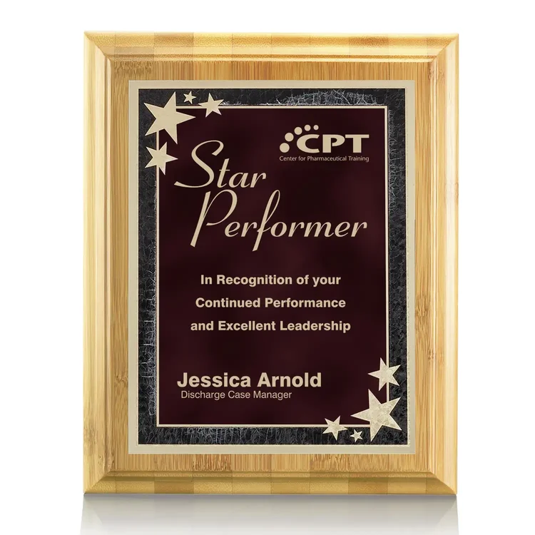 Bamboo Starburst Plaque #4
