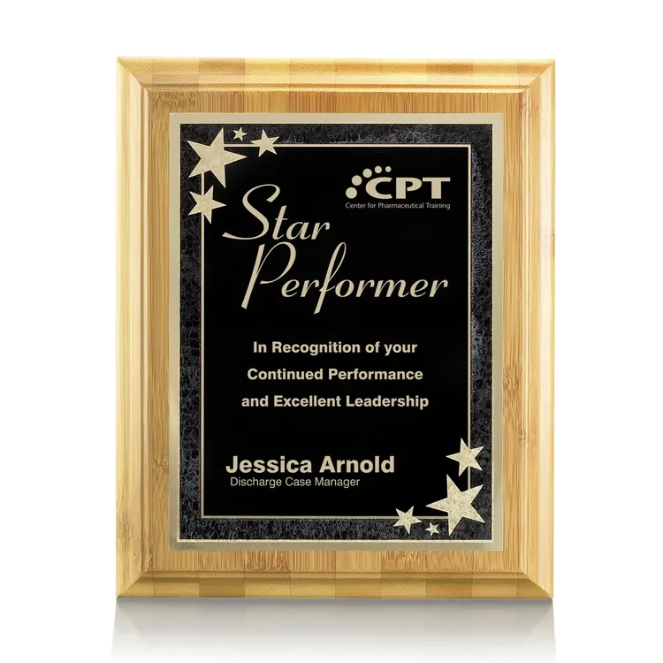 Bamboo Starburst Plaque #9