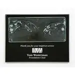 Plaque Cast Inspiration