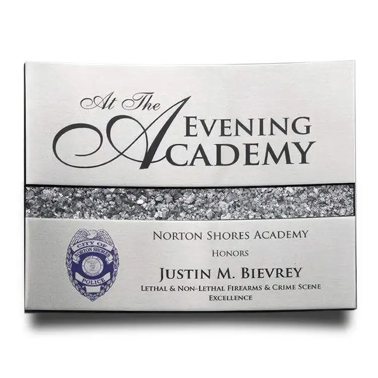 Curve Plaque - Silver