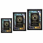 Plaque Farnsworth Verdi - Fini noir