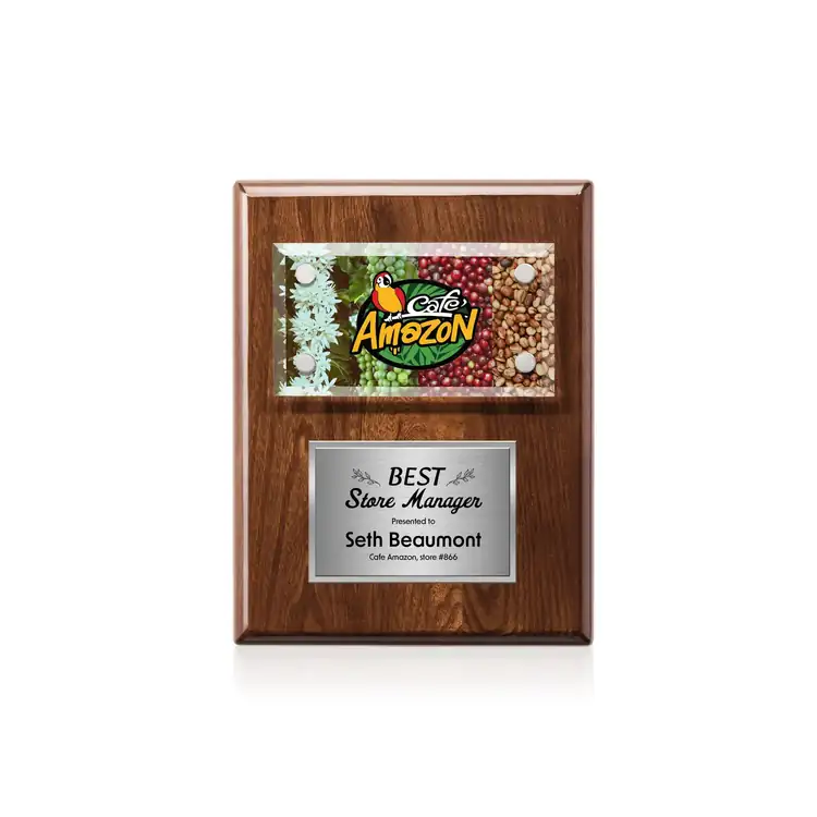Gossamer Multicolor Plaque #33