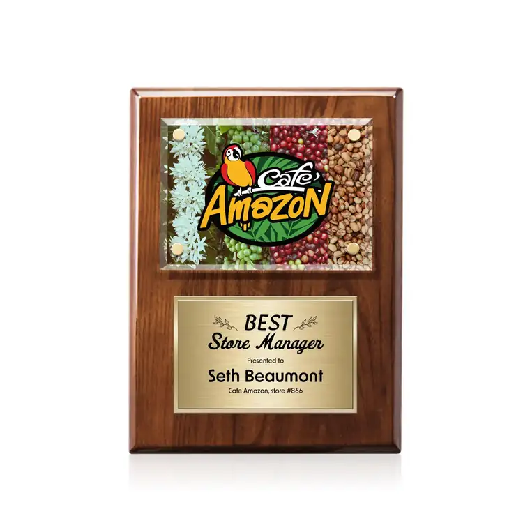Gossamer Multicolor Plaque #38